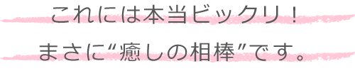 これには本当ビックリ！まさに“癒しの相棒”です。