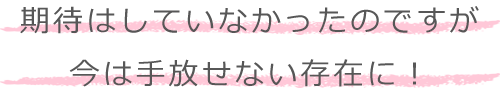 期待はしていなかったのですが、今は手放せない存在に！