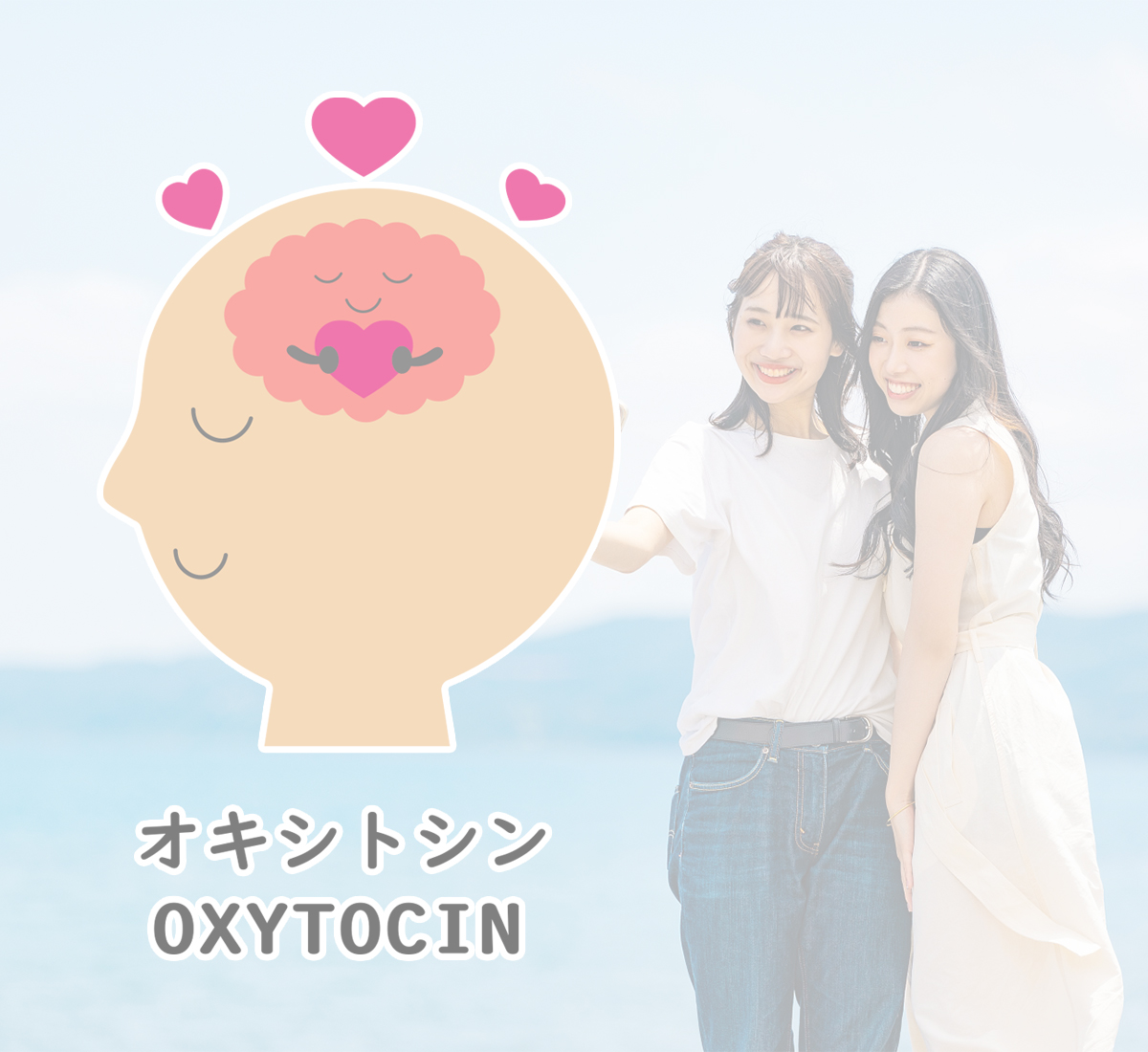 「愛情ホルモン」オキシトシン