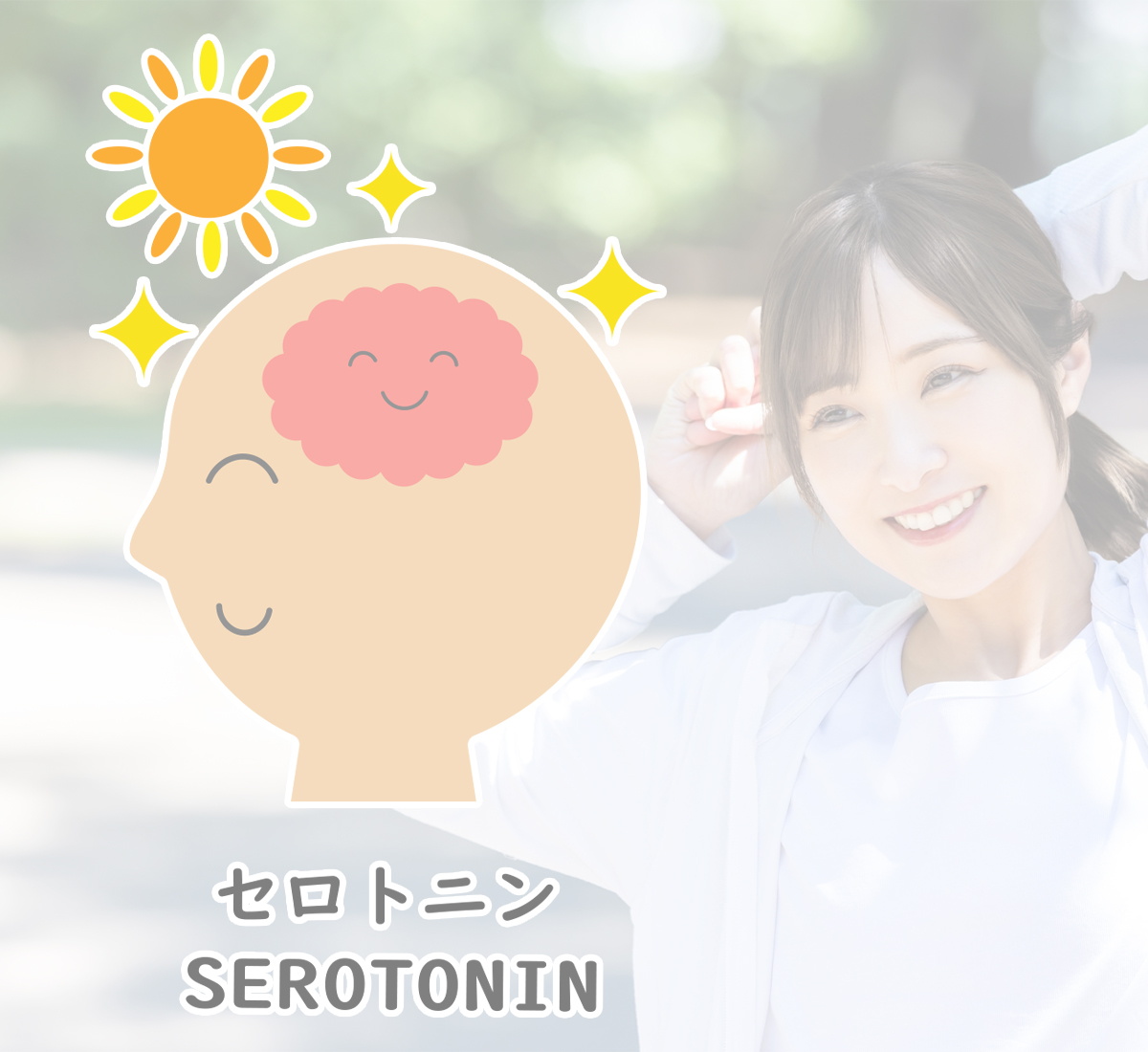 「安定ホルモン」セロトニン